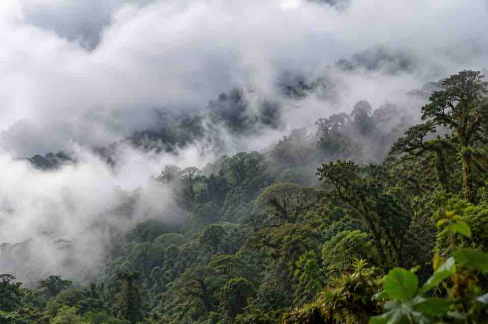 Llegada, finca, personas caminando, neblina